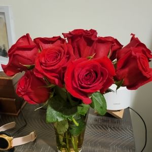 Meet your Posher, Anitra